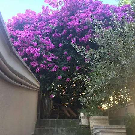 La Bougainvillea 3*