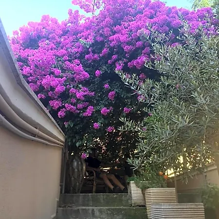La Bougainvillea Андрия