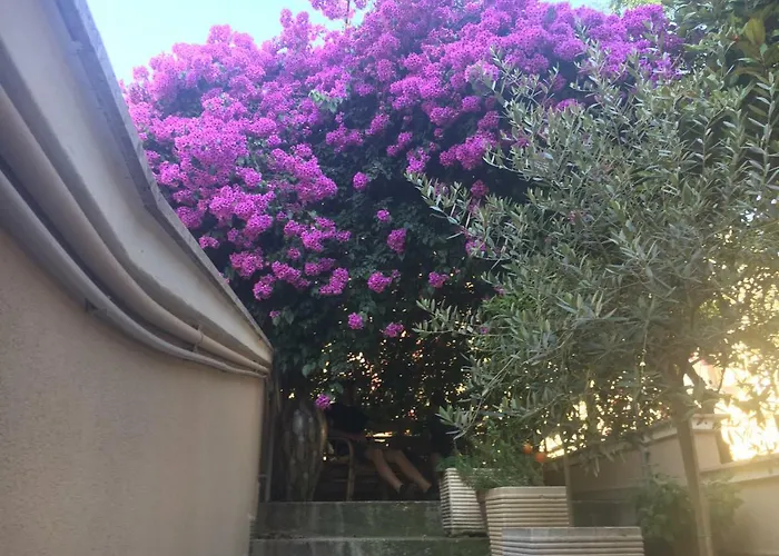 La Bougainvillea 3*